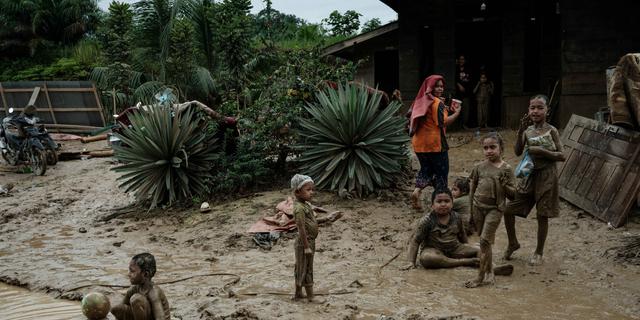 Pakar Hukum Lingkungan UI Soroti Perlunya Evaluasi Kebijakan Pemanfaatan Sumber Daya Alam