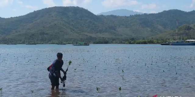 Langkah Pemprov NTB Bangun Ekosistem Perdagangan Karbon Berkelanjutan