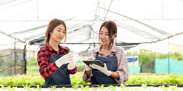 Urban Farming sebagai Tren Bisnis Green Living yang Tumbuh di Kota