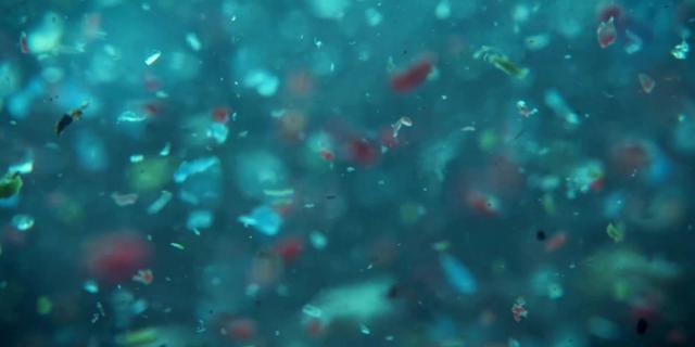 Ancaman Mikroplastik, Tim Riset UB Desak Pemerintah Perkuat Mitigasi