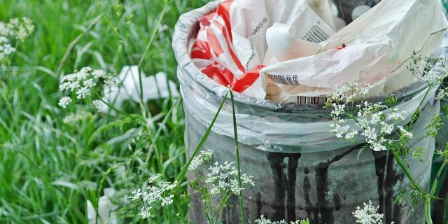 Jadi Lebih Ramah Lingkungan Bersama dengan Panduan Sederhana Kurangi Sampah di Rumah
