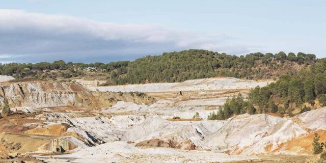 Inovasi Dosen IPB Masuk 117 Inovasi Indonesia 2025, Hijaukan Lahan Bekas Tambang Kapur