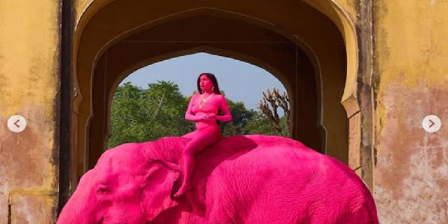 Kontroversi Kematian Gajah Pink di India yang Dihujat Aktivis, Faktanya Diungkap Dokter Hewan