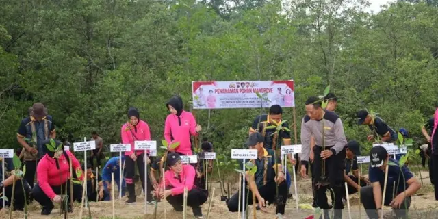 Polres Penajam Paser Utara Hijaukan Pesisir dengan 1.000 Mangrove