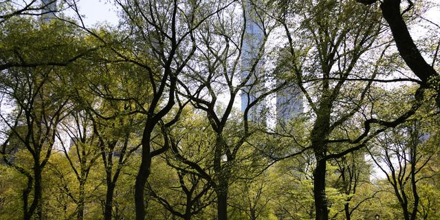 KLH Tegaskan Alih Fungsi Eks-TPA Jadi Kawasan Wisata Harus Lewati Tahapan Ketat