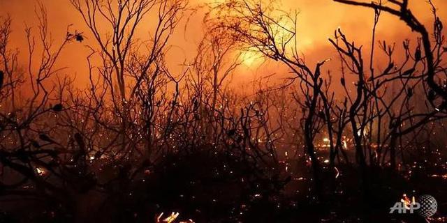 IPB University Kembangkan Sistem OLAP Hotspot Karhutla, Lengkapi Sistem Milik Kemenhut