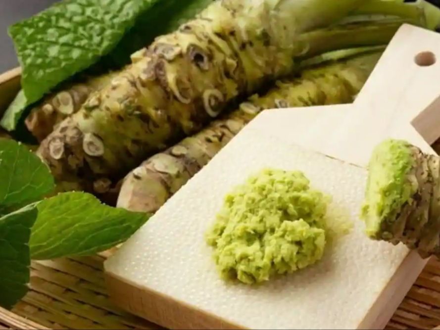 8 Hot Facts About Wasabi trstdly trusted news in simple english