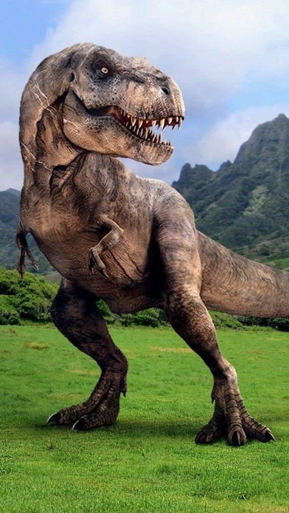 5 Nowadays Animals That Are Descendants and Relatives of Dinosaurs ...
