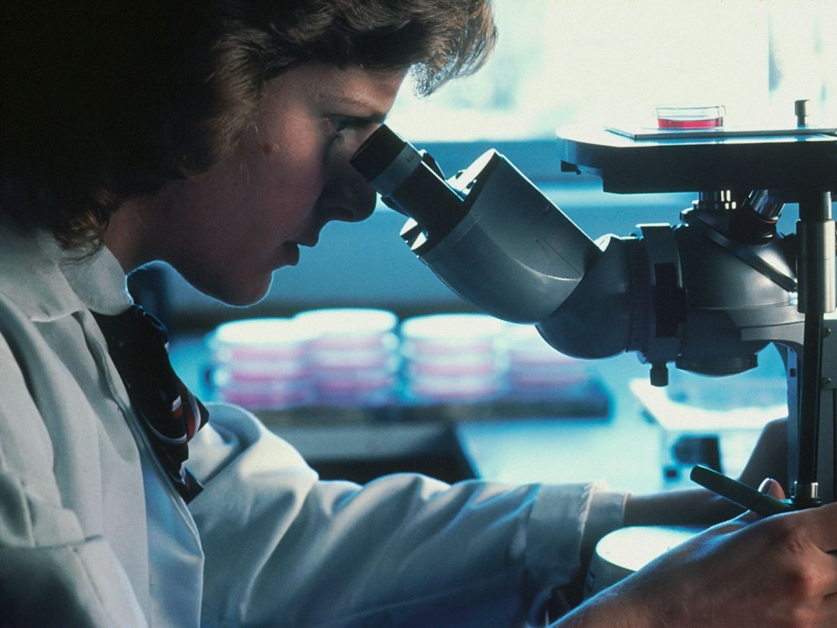 10 Best Jobs For Virgos That Match Their Traits trstdly trusted news