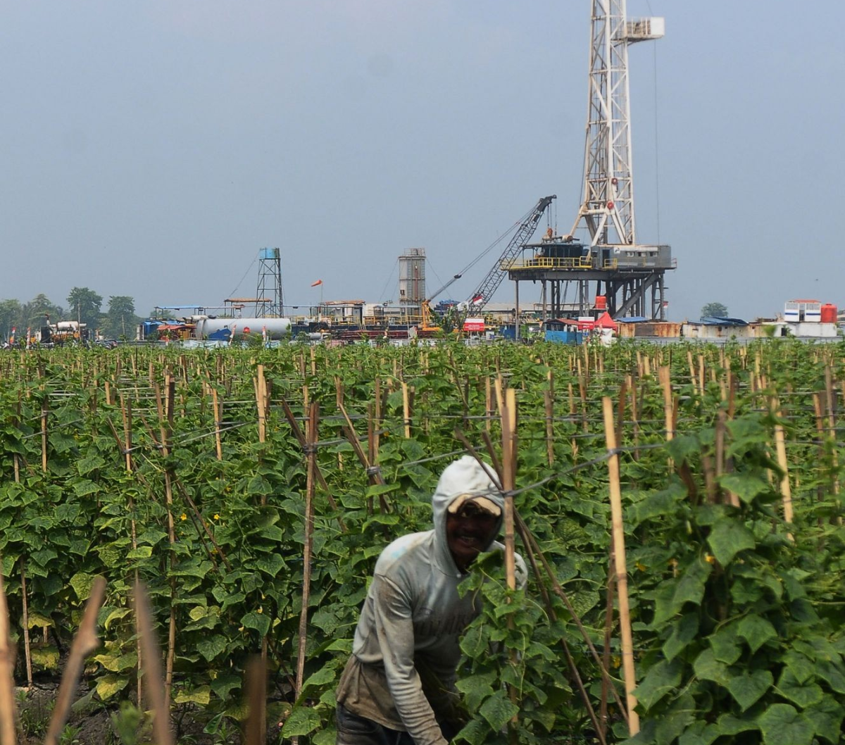 FOTO: Penampakan Lokasi Cadangan Minyak Dan Gas Yang Ditemukan ...