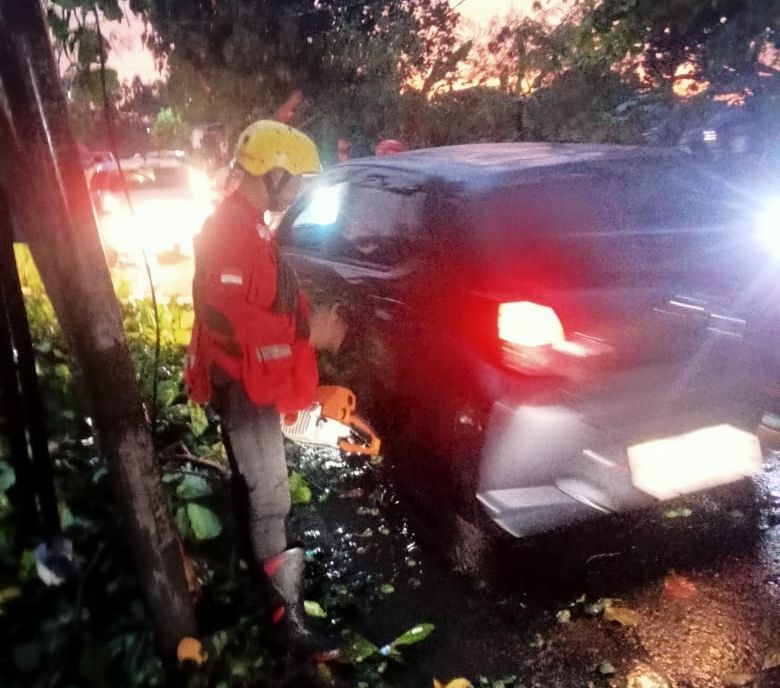 Hujan Deras Dan Angin Kencang Terjang Solo, Pohon Tumbang Timpa 4 Rumah ...