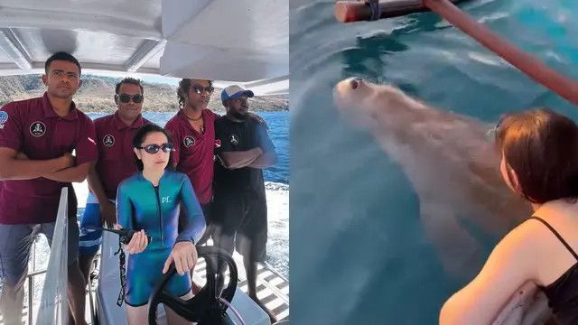 Momen Prilly Latuconsina saat Berlibur di Pulau Alor, Senang Melihat Ikan Duyung