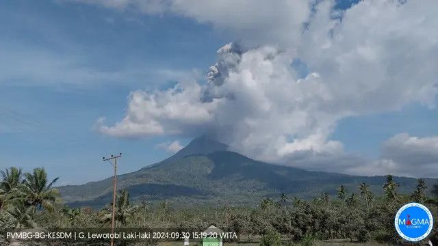 Gunung Lewotobi Laki-Laki Meletus Lagi, Semburan Abu Capai 1.000 Meter, Waspada Radius Berbahaya