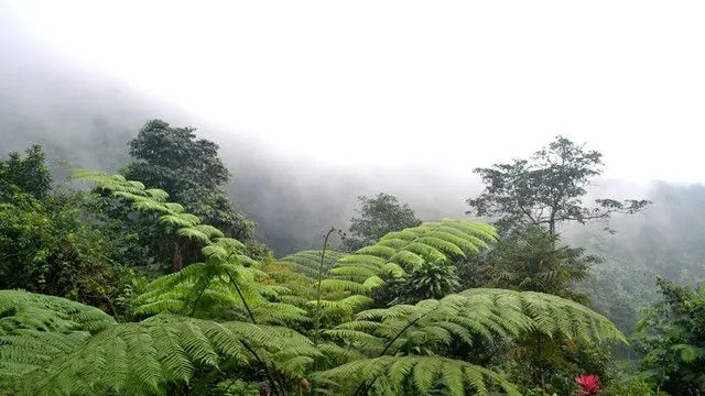 Kisah Naomi, Mendaki Gunung Slamet Tak Izin Orangtua hingga Hilang dan Ditemukan Selamat