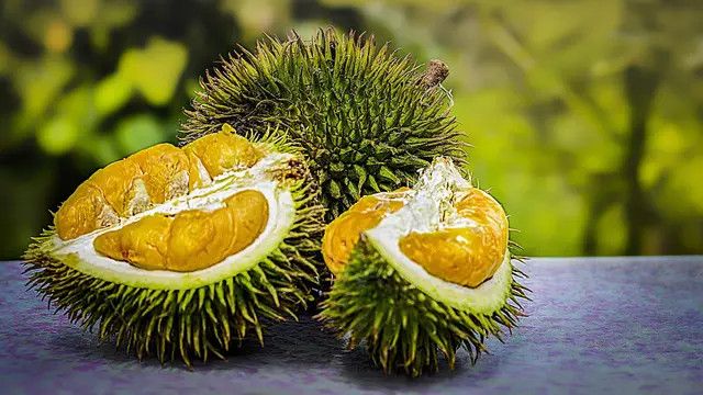 Mitos dan Fakta Terkait Konsumsi Durian Terhadap Kesehatan Kolesterol, Ketahui Kebenarannya!