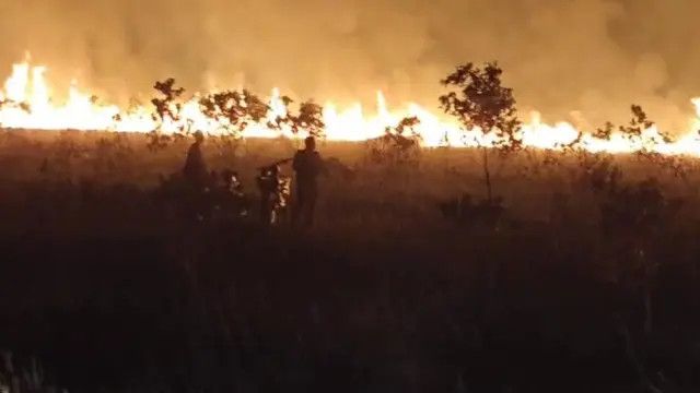 350 Hektare Lahan Taman Nasional Way Kambas Terbakar