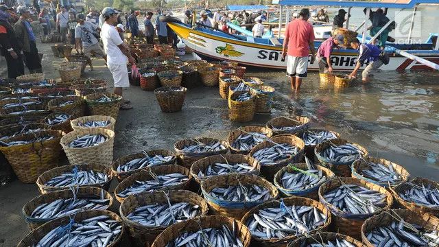 Cara Ampuh Mengurangi Rasa Asin pada Ikan Asin Tanpa Menggunakan Koran