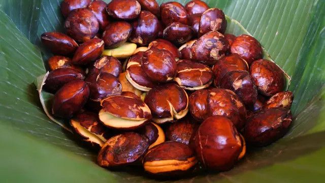 5 Metode Menghilangkan Bau Tak Sedap pada Jengkol, Praktis Dilakukan di Rumah!