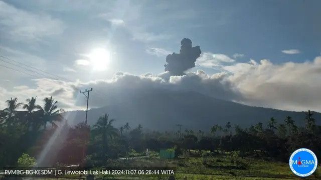 Gunung Lewotobi Laki-Laki Kembali Meletus, Semburan Abu Vulkanik Mencapai 2.000 Meter