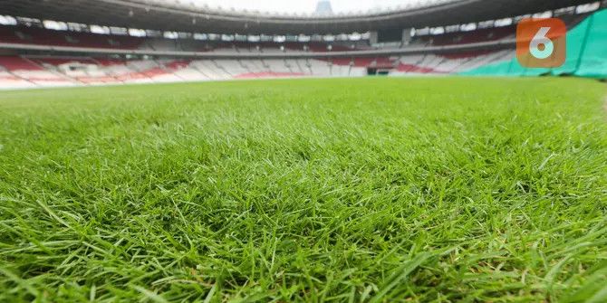 FOTO: Penampakan Kondisi Terbaru Rumput Stadion GBK Jelang Timnas Indonesia vs Jepang