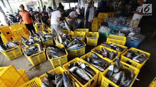 Perubahan Iklim Bikin Makanan Laut Berbahaya Untuk Dikonsumsi, Risiko Manusia Digigit Ular Makin Tinggi