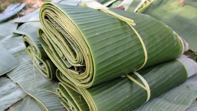 Tips Praktis Menyimpan Daun Pisang Agar Tidak Cepat Membusuk