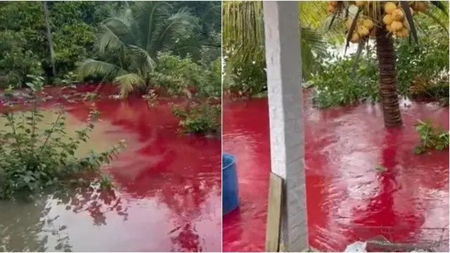 Warga Dikejutkan dengan Banjir Berwarna Merah seperti Darah, Penyebanya Tak Disangka