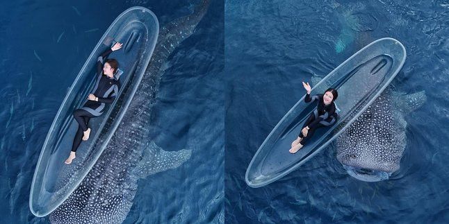 Tiara Andini Berfoto Sambil Berenang Bersama Dua Hiu Paus di Gorontalo