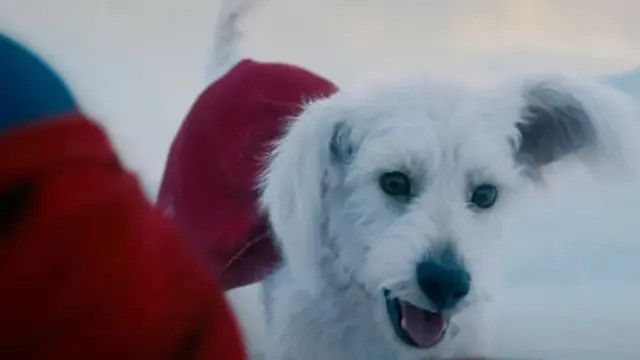 James Gunn Ungkap Krypto Si Anjing Super di Film Superman Terbaru Terinspirasi dari Kehidupan Nyata, Begini Kisahnya