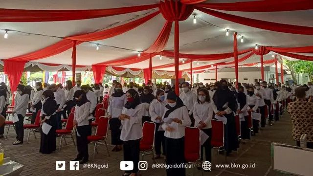 Cek Pengumuman Hasil Seleksi PPPK Tahap 1 di SSCASN, Lengkap dengan Kriteria Kelulusan