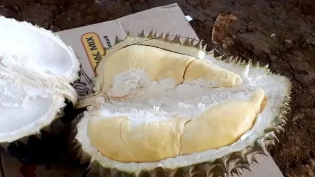 Biji Durian Juga Punya Manfaat Kesehatan, Ini Cara Membuat Rebusannya