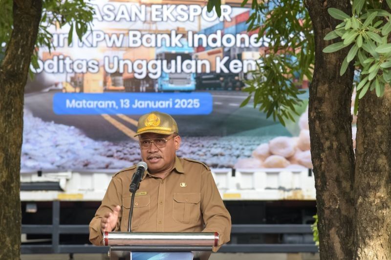 NTB Dorong Penanaman Kemiri: Hijaukan Lahan dan Dongkrak Ekonomi