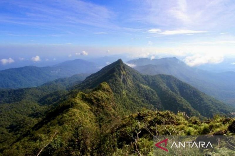 Pendakian Gunung Halau-Halau Ditutup Sementara karena Tradisi Basambu Umang