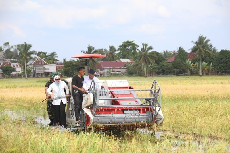 Wamentan Tekankan Bulog Serap Gabah Petani Sesuai HPP Rp6.500