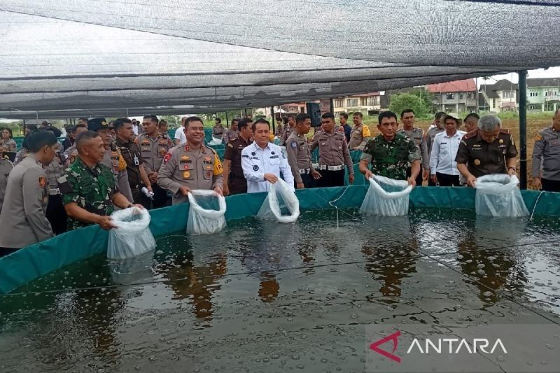 Polda Sumut Tanam Jagung di Lahan 548 Hektare Demi Ketahanan Pangan