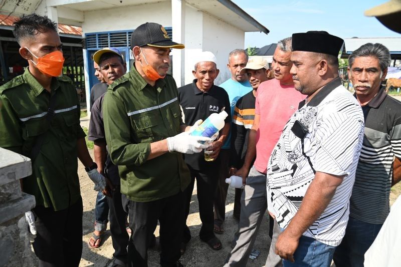 Aceh Besar Cegah PMK dengan Penyemprotan Disinfektan dan Sosialisasi