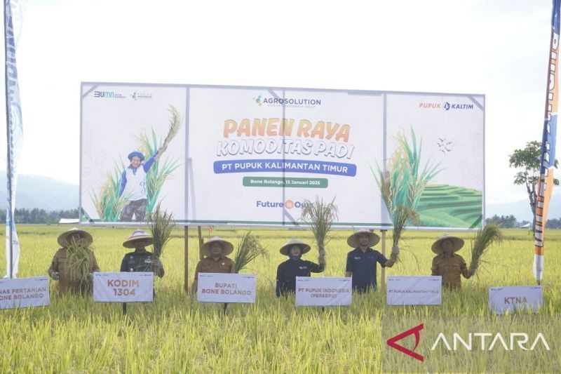 Panen Raya Bone Bolango: Langkah Menuju Swasembada Pangan Nasional