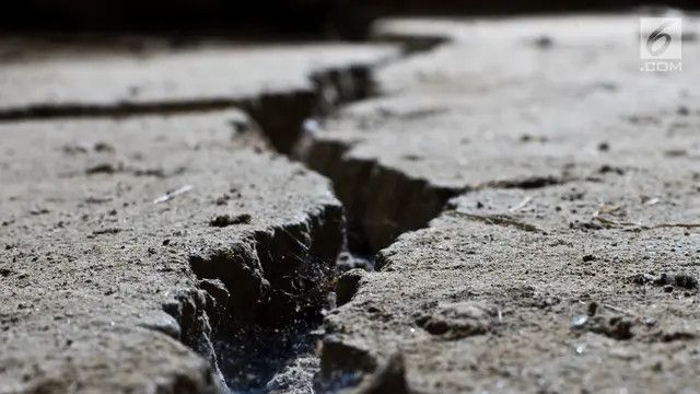 Gempa 6,4 SR Hantam Jepang, Peringatan Tsunami 20 Cm di Miyazaki