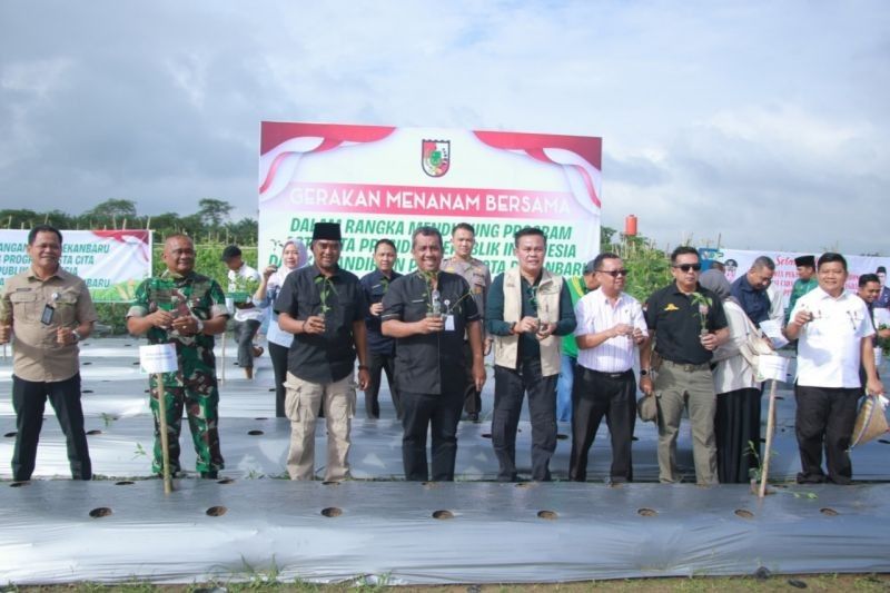 Pemko Pekanbaru Tanam Sayuran, Dukung Ketahanan Pangan Nasional