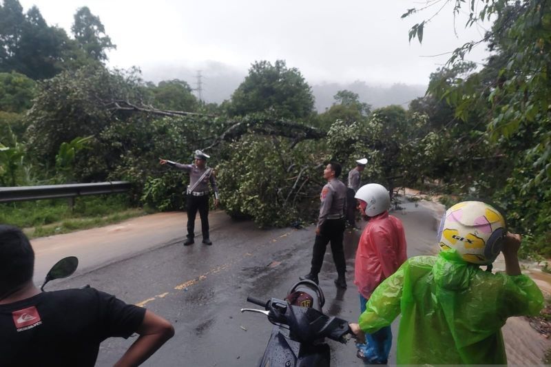 Jalan Lintas Sumatera Putus Akibat Longsor di Pesisir Selatan