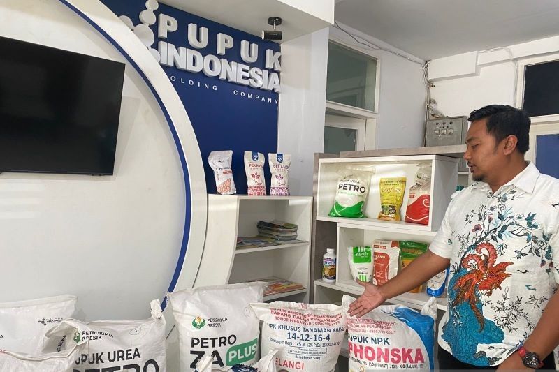 Kuota Pupuk Organik Sulsel Melonjak Tajam: Dorongan Swasembada Pangan