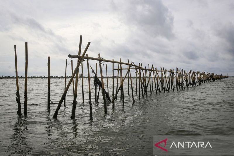 KLH Verifikasi Dokumen Lingkungan Pagar Laut Bekasi