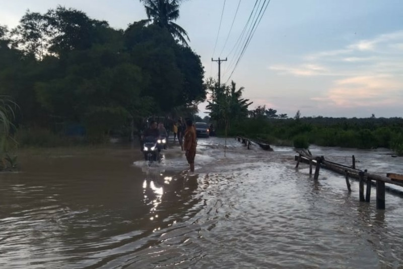 Banjir Batu Bara Akibat Hujan Deras Rusak 212 Hektare Sawah