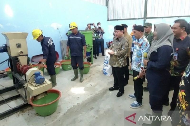 Pabrik Pakan Ikan Kotawaringin Timur: Solusi Harga Pakan Ikan yang Lebih Terjangkau