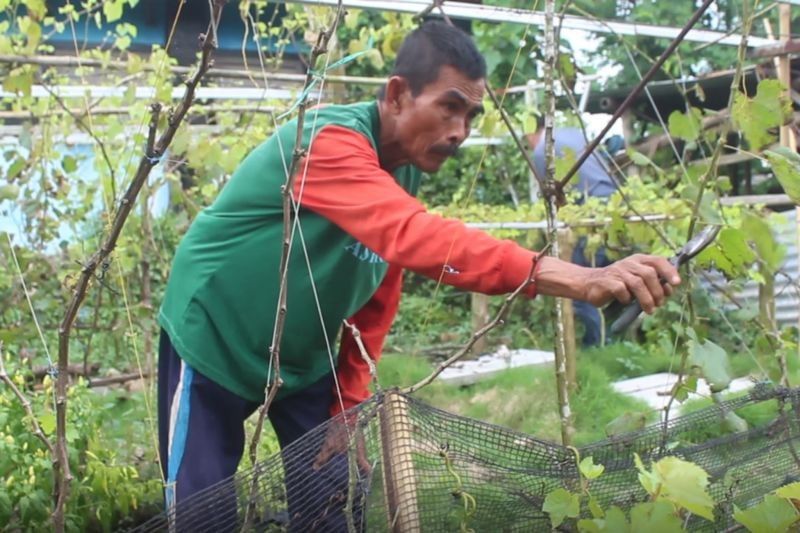 Bupati Lombok Tengah Ajak Kades Dukung Swasembada Pangan Nasional