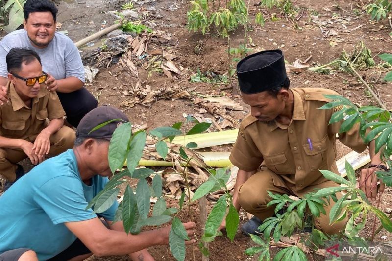 Bekasi Tanam Pohon di Lahan Bekas TPS Ilegal: Upaya Cegah Sampah Sembarangan