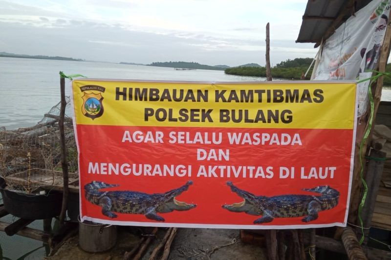 Evakuasi 13 Buaya dari Penangkaran di Batam Setelah Banjir