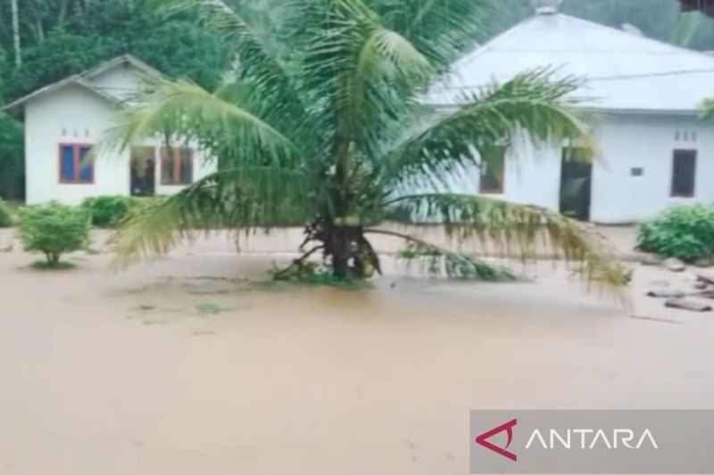 Banjir di Pesisir Selatan: 1.459 Rumah Terendam, Jalan Nasional Terputus