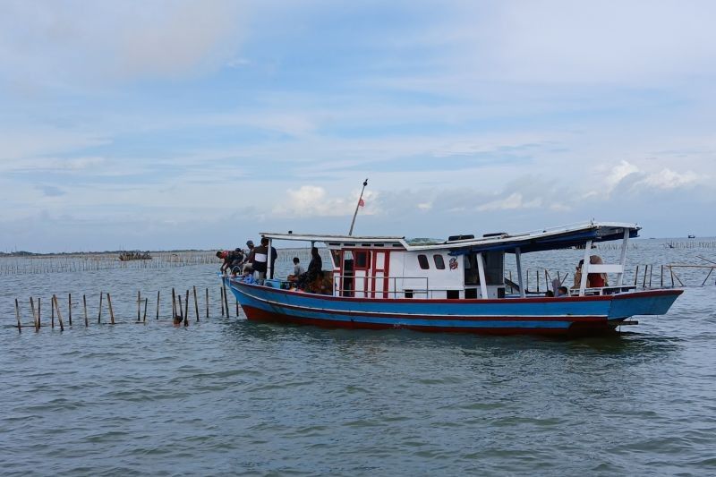 600 Personel TNI AL dan Nelayan Bongkar Pagar Laut di Tangerang