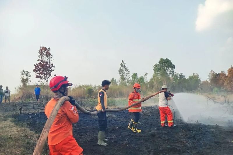 28 Kasus Karhutla di OKU Selama Kemarau 2024: BPBD Bergerak Cepat